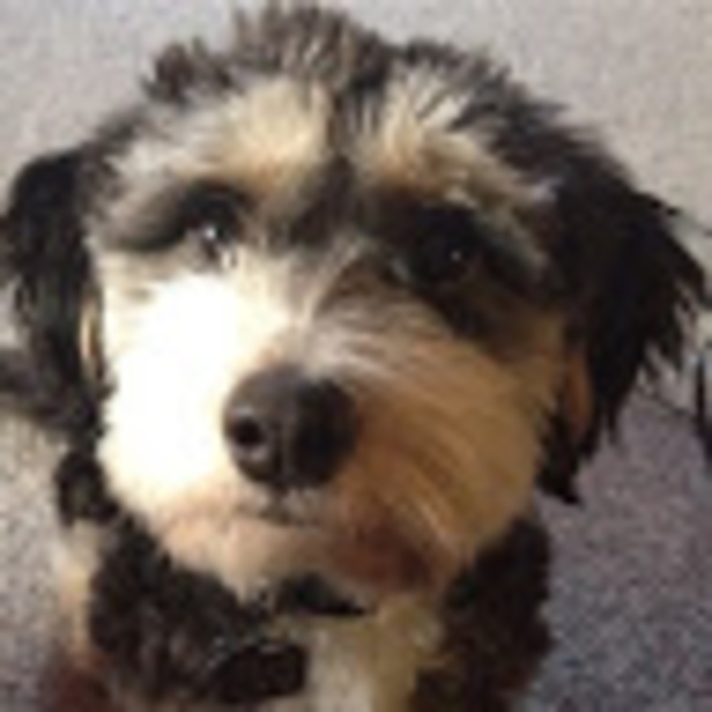 Meet your Posher, Tayah